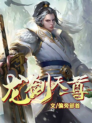 龍劍天尊 小說封面
