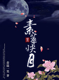 素華映月小說封面