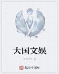 大國文娛小說封面