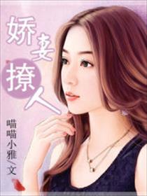 嬌妻撩人小說封面